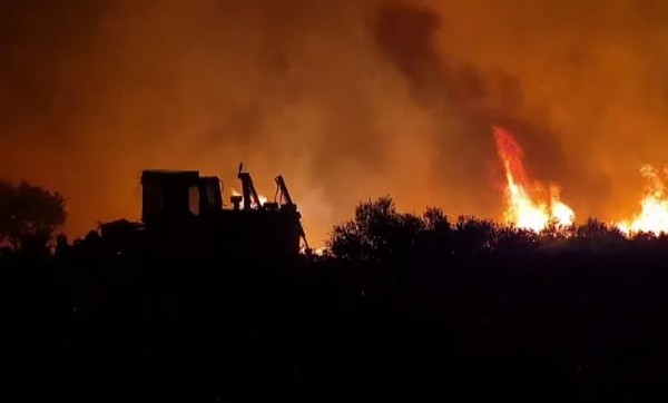 Milas'taki Orman Yangını 2. Gününde! Bin 120 Kişi Bölgeden Tahliye Edildi